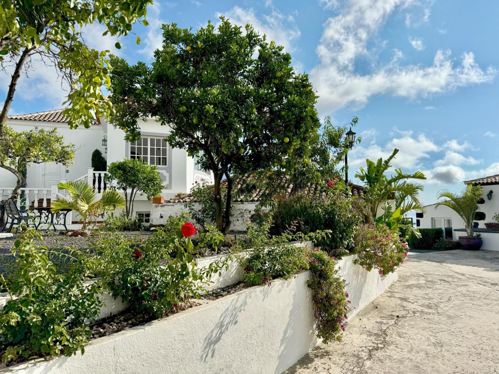 Loft Los Laureles El Paso Exteriör bild